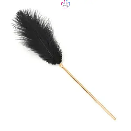 plumes BDSM - Annonce sur OnSeLove