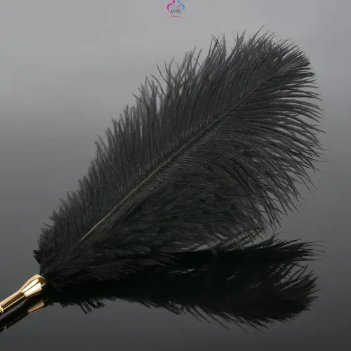 plumes BDSM Slide 4